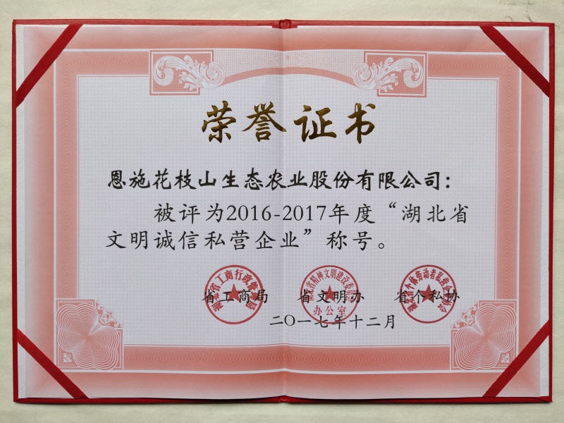 2.1湖北省文明誠信私營(yíng)企業(yè).jpg